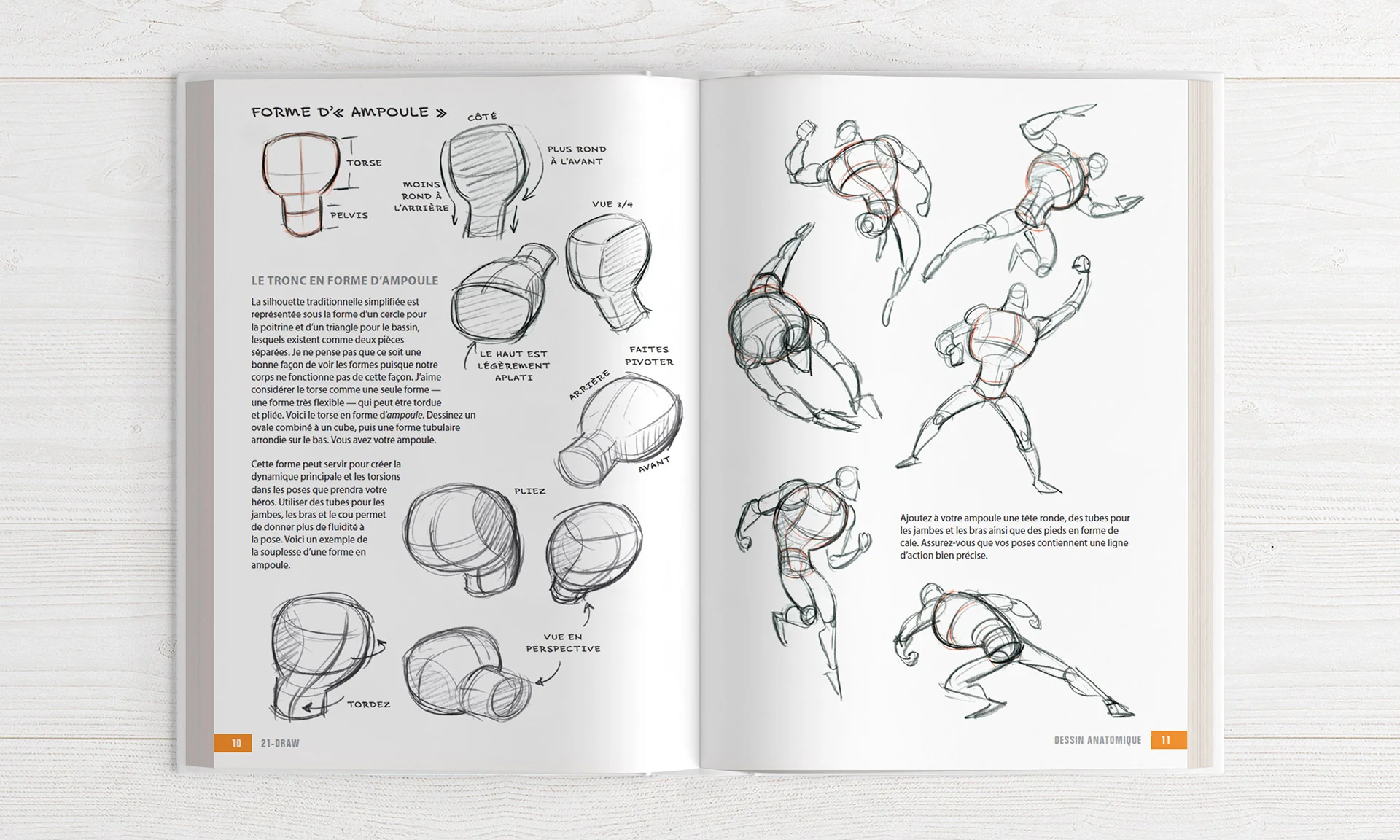 Le manuel de l'illustrateur 1 - Image 5