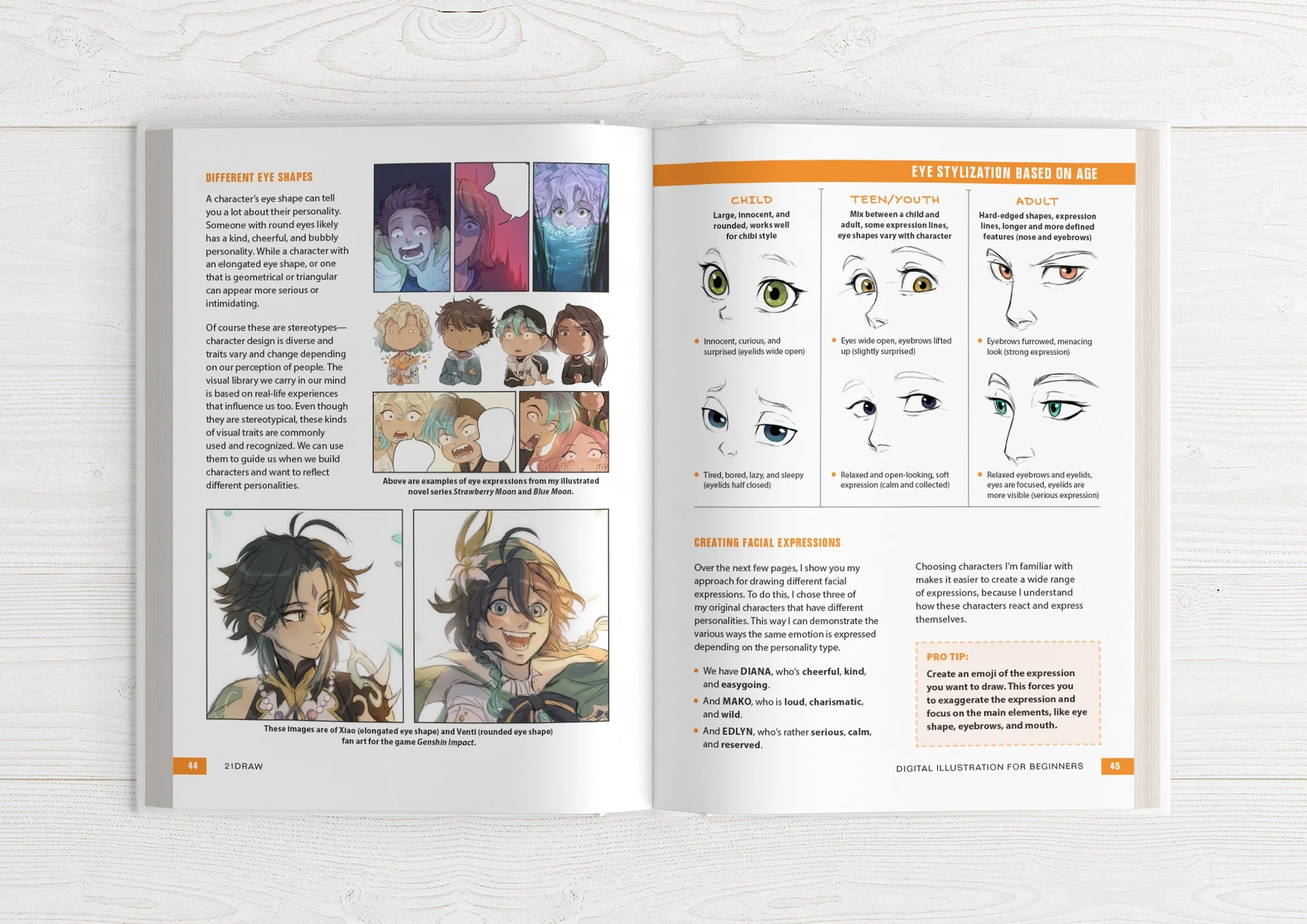Illustrator's Guidebook 2 & 3 (HARDCOVER + EBOOKS) - Image 10