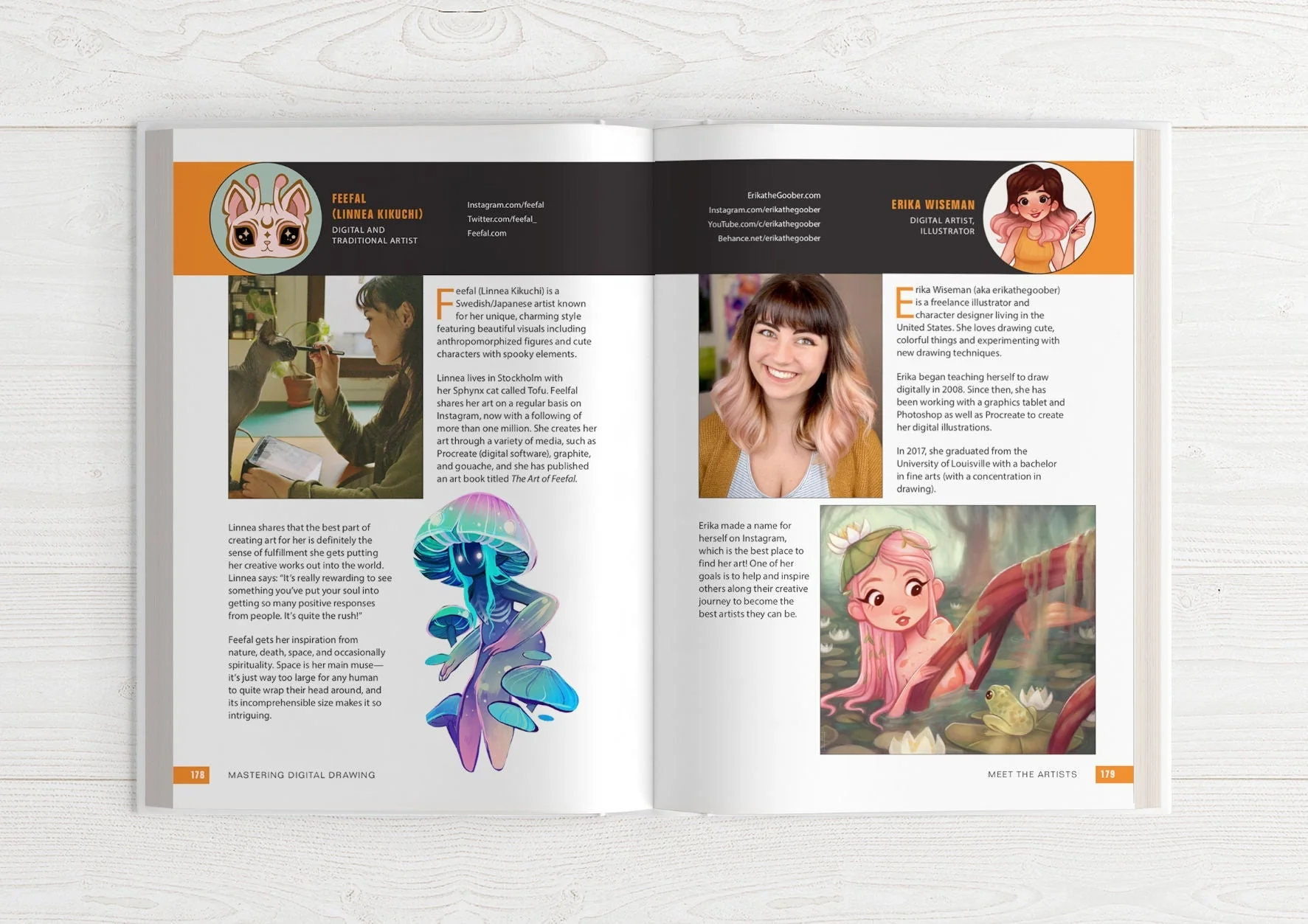 Mastering Digital Drawing - ES - Image 22